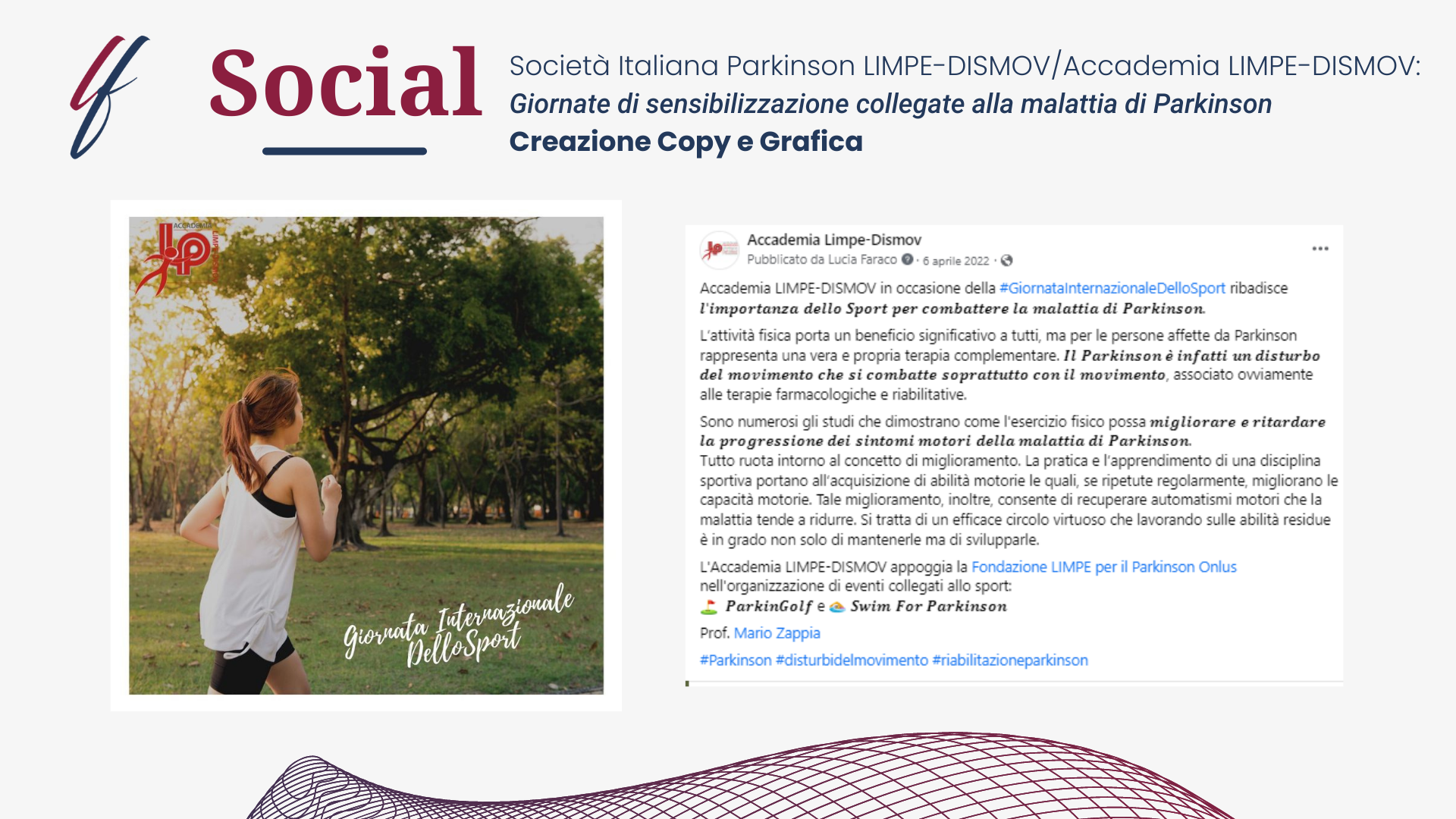 Pagina Facebook LIMPE-DISMOV 2